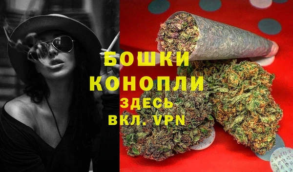 ПСИЛОЦИБИНОВЫЕ ГРИБЫ Магадан